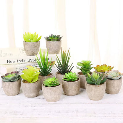 Plastic Mini Artificial Bonsai Fake Decorative Ball Plants Simulation Mini Plants Artificial Succulent Plants for Home Decor